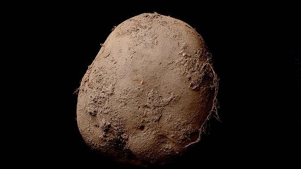 Man buys photograph of organic potato for €1 million